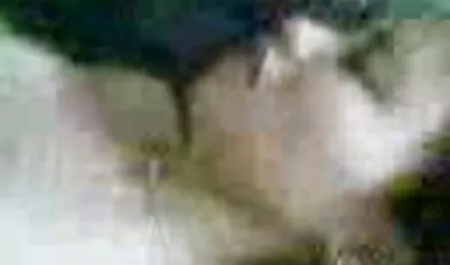 Zalagaonica XXX - Brazilska violončelistica Veronica Lemos prodaje svoje tijelo film online gratis porno