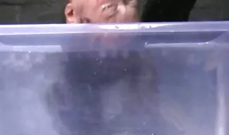 Ginekološka sestra ispituje sestru bija maya natopljenu filme lorno gratis pičku