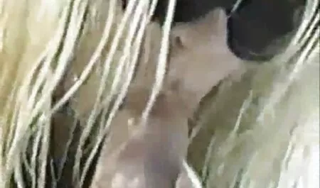 Plavokosi bazen www filme porno cu blonde zadovoljava s dvije osovine