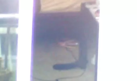 Studentica fulme porn seksi